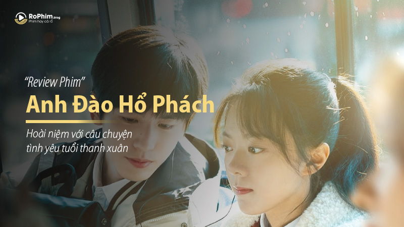 Review Anh Đào Hổ Phách: Hoài niệm với câu chuyện tình yêu tuổi thanh xuân